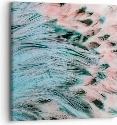 Produktbild von Bild auf Leinwand - Leinwandbild - Federn Federn Vogel - 30x30cm - Wand Bild - Wanddeko - Wandbilder - Leinwanddruck - Bilder - Kunstdruck - Wanddekoration - Leinwand bilder - Wandkunst - AC30x30-3742