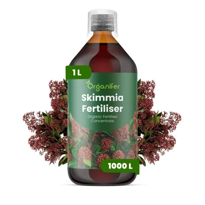 Zdjęcie produktu dla Skimmia Nawóz Płynny 1 L – 3-4-3 NPK – Do Skimmie – Podporuje Silny Wzrost i Bujne Kwiaty – Organifer