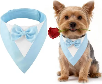 Imagen del producto de Pañuelo para perros con diseño de esmoquin, ajustable, para cuellos de 20-30 cm, ideal para perros pequeños