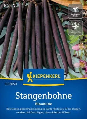 Produktbild von Kiepenkerl Stangenbohnensamen Blauhilde Phaseolus vulgaris 15 Stangen