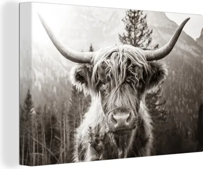 Produktbild von OneMillionCanvasses® - Leinwandbilder - 150x100 cm, Schottisches Hochlandrind - Kuh - Tiere - Schwarz - Weiß, Wandbilder Kunstdruck Wanddekoration - Foto auf Leinwand - Gemälde auf