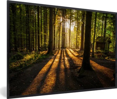 Produktbild von MuchoWow® Gerahmtes Poster Sonne - Bäume - Wald - Landschaft - Natur 90x60 cm - Poster mit Schwarzem Bilderrahmen Wandposter Rahmen Foto Bilder - Fotorahmen - Foto-Plakat