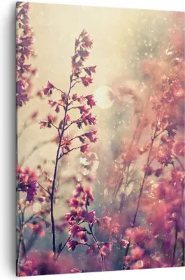 Produktbild von Bild auf Leinwand - Leinwandbild - Einteilig - Blumen Regen Licht - 70x100cm - Wand Bild - Wanddeko - Wandbilder - Leinwanddruck - Wanddekoration - Leinwand bilder - Wandbild - PA70x100-4218