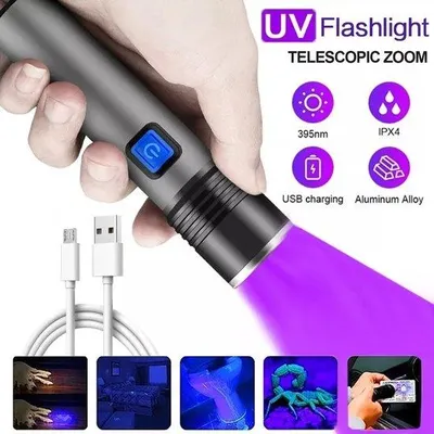 Image de Lampe torche à LED UV de couleur noire