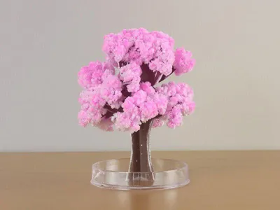Immagine prodotto di Alegría en Casa Magic Tree