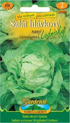 Obrázek produktu pro Salát hlávkový raný LEDNICKÝ