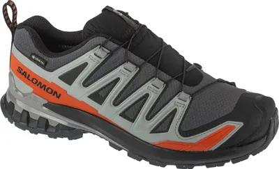 A single Salomon XA Pro 3D v9 GTX shoe is shown against a white background.