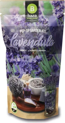 Produktbild von Pop-up Garden Lavendel | Anzuchtsets von Baza