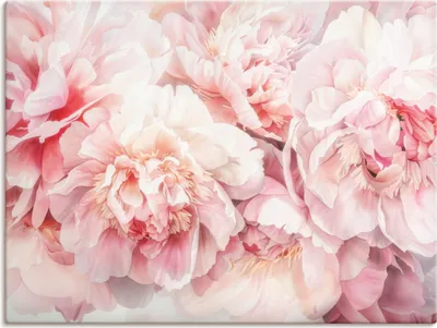 Produktbild von ARTland Leinwandbild Rosa Farbene Pfingstrosen Aquarell Größe: 60x45 cm
