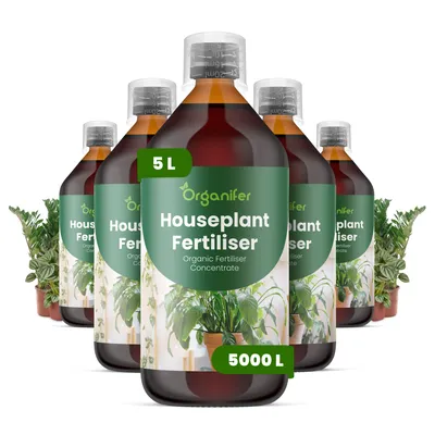 Produktbild von Zimmerpflanzen Flüssigdünger 5x1L – 2-1-8 NPK – Flüssig-Pflanzendünger für Zimmerpflanzen, Ficus, Farne & Palmen – Organifer