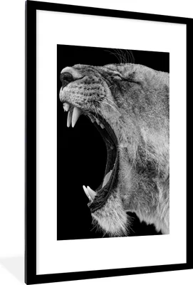 Produktbild von MuchoWow® Gerahmtes Poster Tiere - Löwe - Schwarz - Weiß - Porträt 60x90 cm - Poster mit Schwarzem Bilderrahmen Wandposter Rahmen Foto Bilder - Dekoration - Wandposter Wohnzimmer - Hochwertig