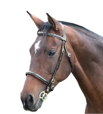 Immagine prodotto di Blenheim - Briglia fantasia, "Stitch", pelle ER250 (Cob) (Nero)
