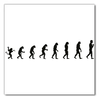 Produktbild von Wallario selbstklebende Möbelfolie/ Tischdecke für Innen und Außen, Größe: 90 x 90 cm - Evolution - Die Entwicklung des Menschen