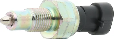 Produktbild von RIDEX Rückfahrschalter 807S0033 für FIAT 500 (312) 0,041kg