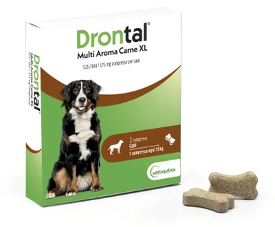 Productafbeelding van DRONTAL MULTI AR CARNE XL, 2 tabletten