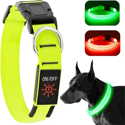 Produktbild von Leuchtender Halsband für Hunde – über USB aufladbar – wasserdicht – verstellbar – grün – Größe M
