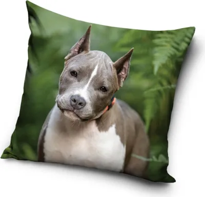 Zdjęcie produktu dla Poszewka na poduszkę dla psa 40*40 cm