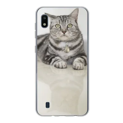Produktbild von MuchoWow® Handyhülle Schutzhülle Hülle für Samsung Galaxy A10 Katze - Grau - Tier - Mädchen - Kinder - Jungen - Kind Silikon Softcase Handy Hülle - Schutzhülle