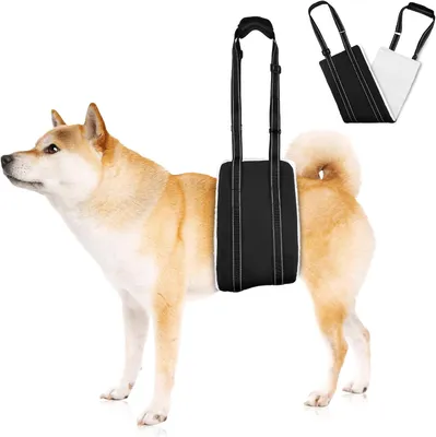 Imagen del producto de Soporte para las patas traseras de perros, ajustable, talla M, para perros mayores