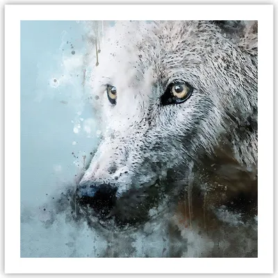 Produktbild von Poster - Poster ohne Rahmen - Weiß Der Wolf Bild - 60x60 cm - Wand Bild - Wanddeko - Wandbilder - Kunstposter - Wandposter - Bilder - Kunstdruck - Wanddekoration - Wandbild - P2XAC60x60-4623