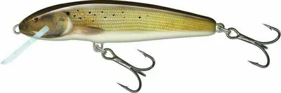 Zdjęcie produktu dla Salmo Minnow Floating Grayling 7 cm 6 g Wobler
