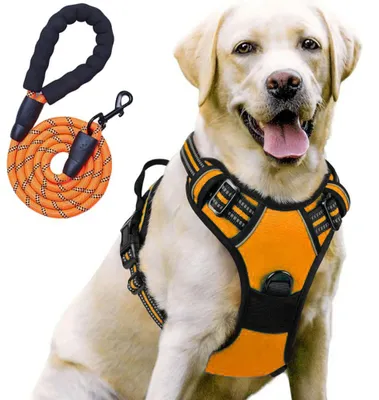 Image de Harnais Chien avec Laisse, Léger Respirant Ajustable Réfléchissant Anti Traction - Orange L