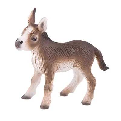 Image de Ane, figurine de jeu