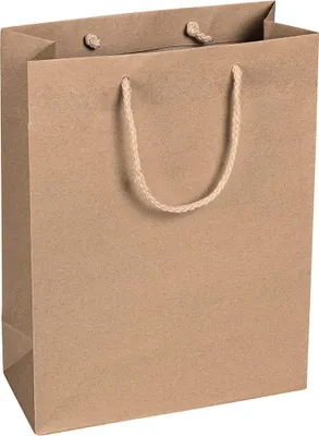 Image de Sacs en papier 22 x 29 x 10 cm, marron, lisses, avec anses en cordon - lot de 12