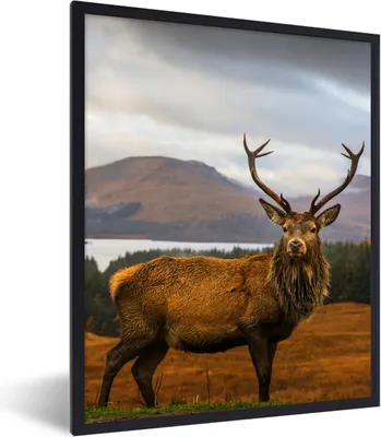 Produktbild von MuchoWow® Gerahmtes Poster Hirsche - Berge - Wasser - Landschaft - Tiere - Bäume 30x40 cm - Poster mit Schwarzem Bilderrahmen Wandposter Rahmen Foto Bilder - Wanddeko - Kunstdrucke