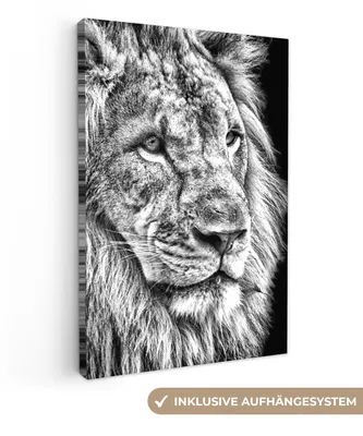 Produktbild von MuchoWow® - Leinwandbilder - Porträt - Löwe - Schwarz und weiß, Wandbild, Wanddeko Bilder Wohnzimmer, 60x90 cm