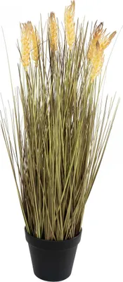 Produktbild von EUROPALMS Weizen erntereif, künstlich, 60cm