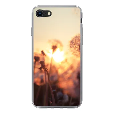 Produktbild von MuchoWow® Handyhülle Schutzhülle Hülle für iPhone SE 2020 Löwenzahn - Sonnenuntergang - Frühling Silikon Softcase Handy Hülle - Kartenbesitzer