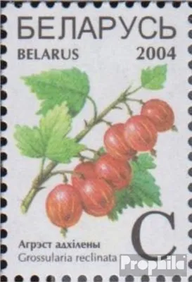 Produktbild von Briefmarken Weißrussland 2004 Mi 526III ohne Mikroschrift postfrisch Früchte