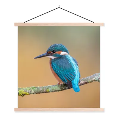 Produktbild von MuchoWow® Textilposter Vogel - Eisvogel - Tiere - Zweig 120x120 cm mit holzfarbenen Rahmen - Textil-Poster