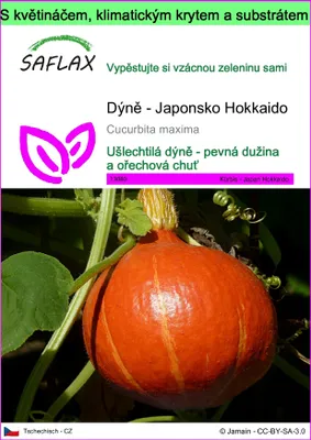 Obrázek produktu pro SAFLAX Garden to go - Dýně - Japonsko Hokkaido - Cucurbita maxima - 10 Semena - S květináčem, klimatickou poklicí a pěstebním substrátem