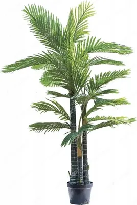 Productafbeelding van Kunstpalm met drie bladeren, in een realistische pot, 200 cm