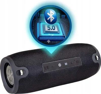 Zdjęcie produktu dla Głośnik Bluetooth Manta SPK15GO czarny
