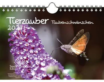 Produktbild von Tierzauber Taubenschwänzchen DIN A5 Kalender für 2027 - Seelenzauber