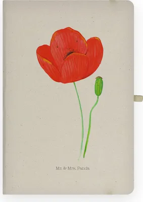 Produktbild von Mr. & Mrs. Panda Tagebuch Blume Mohnblume - Transparent - Geschenk, Motivation, Religion, Mohn, Journal, Selbstliebe, Adressbuch, Garten, Kladde, Glaube, notizbuch