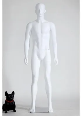 Produktbild von LM1-6 Männlich Mann Maskulin schöne abstrakte Weiß Schaufensterpuppen Matt Nase und Mund geformt