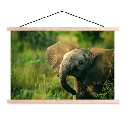 Produktbild von MuchoWow® Textilposter Elefant - Grün - Tiere - Natur 60x40 cm mit holzfarbenen Rahmen - Bilder