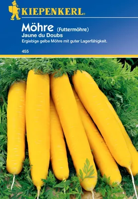 Produktbild von Möhre Jaune du Doubs | Möhrensamen von Kiepenkerl