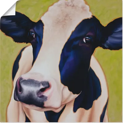Produktbild von ARTland Poster Kuh Paula Größe: 30x30 cm