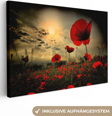 Produktbild von MuchoWow® - Leinwandbilder - Mohnblumen am Abend, Wandbild, Wanddeko Bilder Wohnzimmer, 30x20 cm