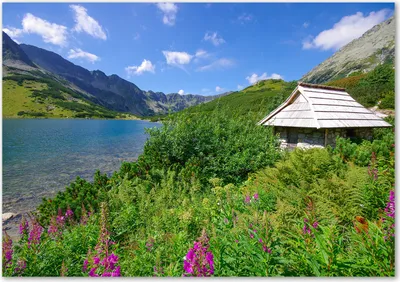 Produktbild von Tulup® Leinwandbild - 100x70 cm - Wandkunst - Drucke auf Leinwand - Leinwanddruck  - Landschaften - Grün - Berge Hütte Tatra