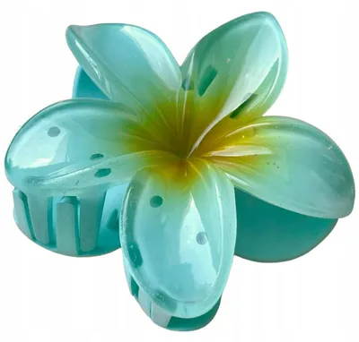 Produktbild von Sajbazar Große Blumen Haarklammer Boho Hawaii Stil