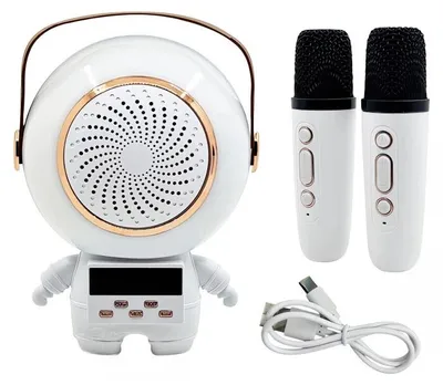 Image de Verk 27312 Enceinte karaoké Bluetooth 5 W, 2x microphone sans fil, blanc