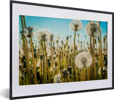 Produktbild von MuchoWow® Gerahmtes Poster Blumen - Löwenzahn - Gras 40x30 cm - Poster mit Schwarzem Bilderrahmen Wandposter Rahmen Foto Bilder - Bilderrahmen - Poster im Rahmen