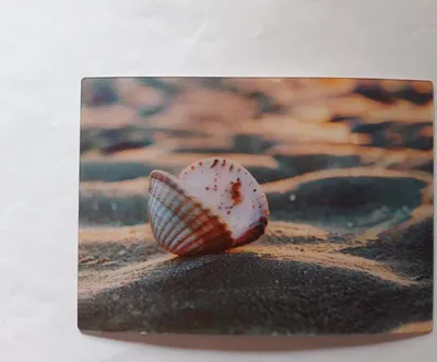 Produktbild von 3 D Ansichtskarte Muschel auf Sand Postkarte Wackelkarte Hologrammkarte, Strand
