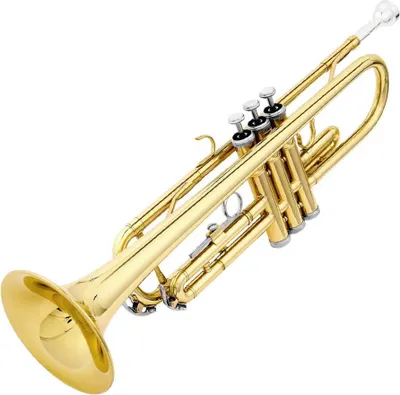 Immagine prodotto di Tromba Timeless per Amatori e Musicisti
